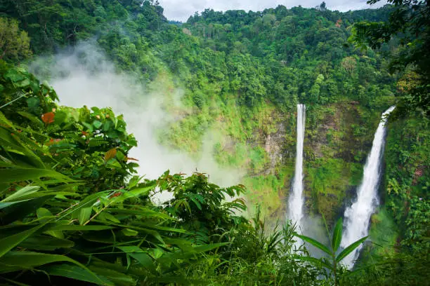 Photo of Wonderful Tad Fane waterfall in the mist.