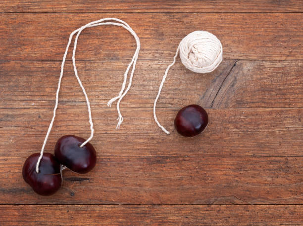 conkers. fruit of the horse chestnut tree, aesculus hippocastanum. with string for traditional game. - 4 string imagens e fotografias de stock