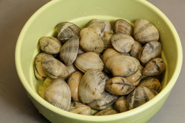 istock Clams in a bowl 1179148790