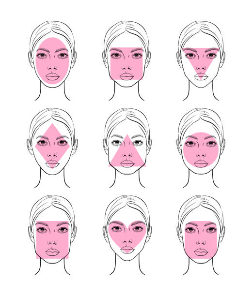 Set of woman face shapes Different female face shapes. Vector illustration. thin neck stock illustrations
