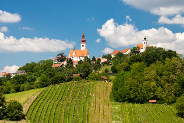 istock Town Straden and wineyards in Styria, Austria 1179154007