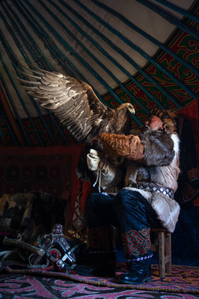 caçador velho da águia do cazaque com sua águia dourada. - men hat leather senior adult - fotografias e filmes do acervo
