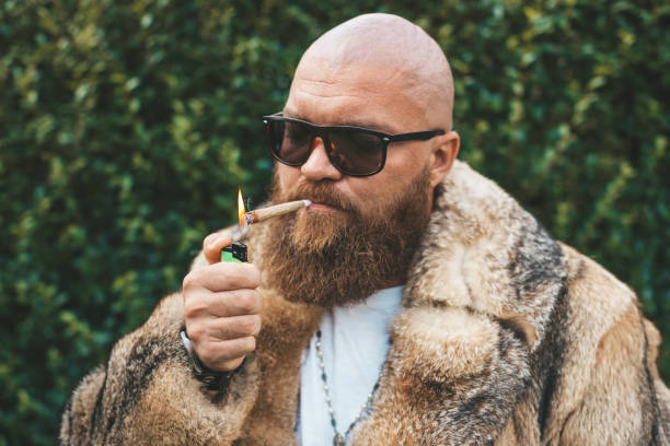 Portrait of posh chic virile bearded brutal man smoking marijuana joint, wearing brown fur gypsy style - hip hop pimp stylish guy lighting up weed (cannabis) blunt at the green background outdoors stock photo