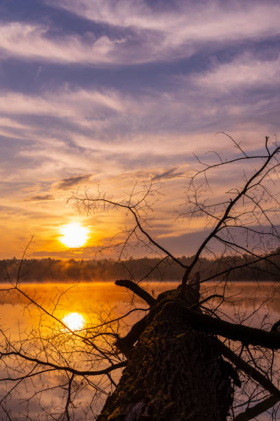 istock sunrise sun over pond, Trebon, Czech Republic 1179165308