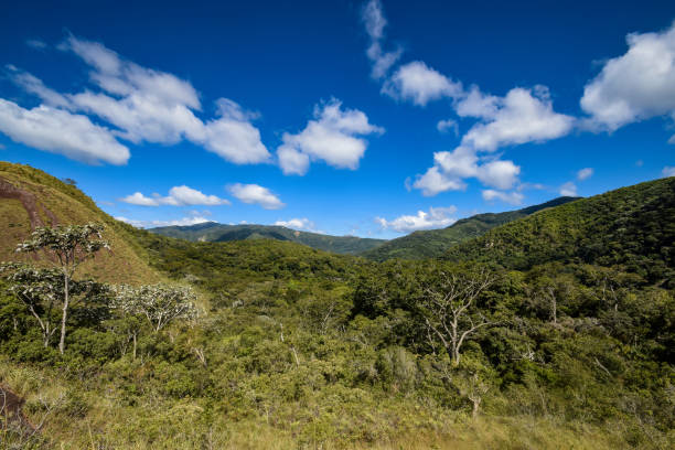 istock Landscape near Samaipata in Bolivia 1179166884