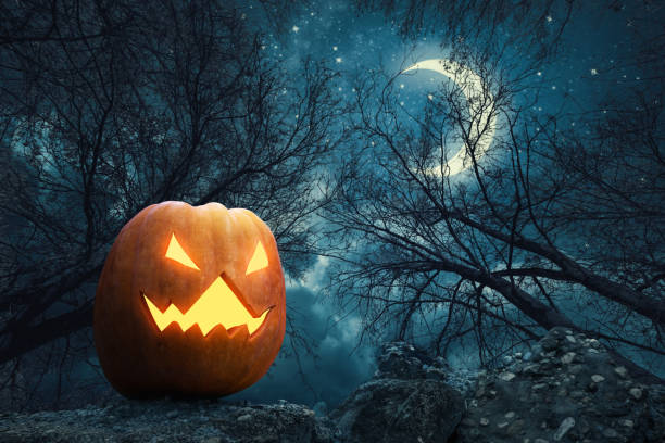 istock Spooky pumpkin lantern in the scary forest for Halloween 1179170756