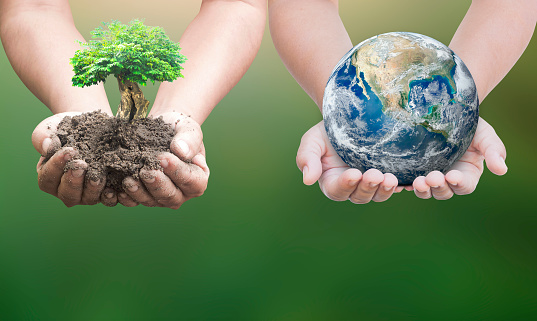 Two human hands holding earth global and big tree over blurred green nature  background. Elements of this image furnished by NASA