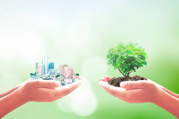 世界環境デーコンセプト - environmental responsibility lifestyles environment ideas ストックフォトと画像