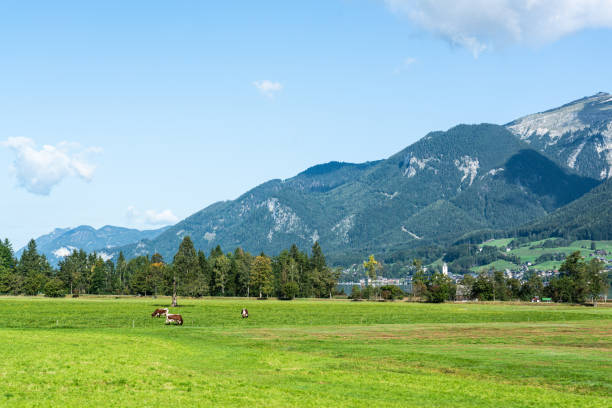 istock Idyllic landscape in the Alps with mountain 1179171381