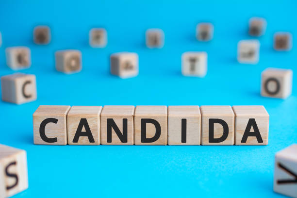 Candida - word from wooden blocks with letters stock photo