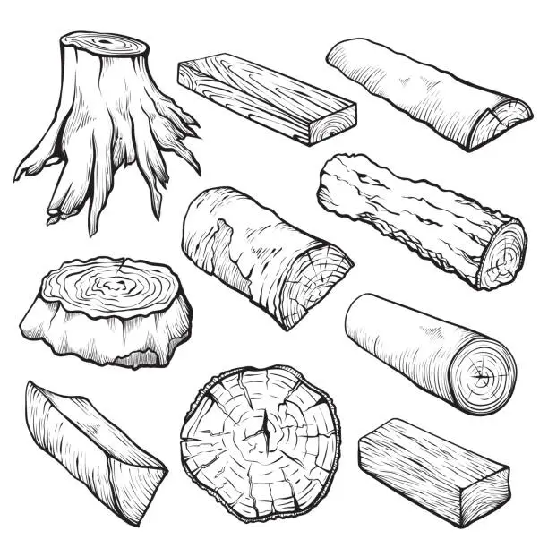 Vector illustration of Wooden logs and timber hand drawn illustrations set