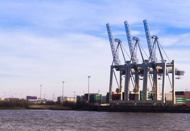 hamburg harbor with cranes and harbor buildings - hamburg germany harbor cargo container commercial dock imagens e fotografias de stock