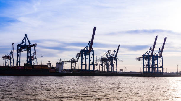 hamburg harbor with cranes and containers at sunset - hamburg germany harbor cargo container commercial dock imagens e fotografias de stock