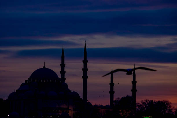 istock Silhouette of Suleymaniye Mosque 1179180409