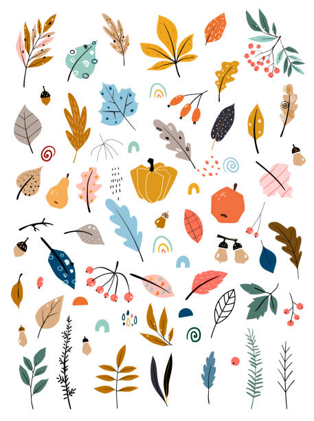 手描きの葉、野菜、秋の収穫を使った子どもたちのイラスト。秋のセット。手描きの落ち葉、野菜、ベリー、ドングリ、森のキノコのコレクション。 - 秋 イラスト点のイラスト素材／クリップアート素材／マンガ素材／アイコン素材