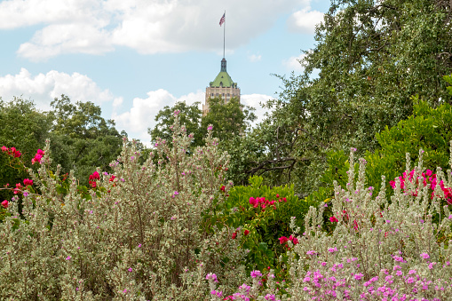This is a view of downtown San Antonio, Texas showing the flowers and other colorful vegetation growing in a park.  In the background is one of the tall buildings that are part of the cityscape.