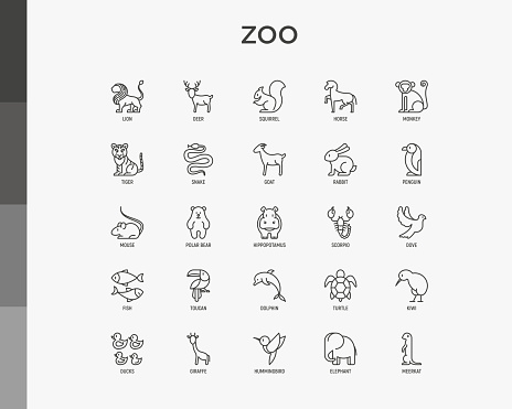 Zoo thin line icons set: lion, deer, horse, monkey, tiger, penguin, hippo, giraffe, elephant, turtle. Modern vector illustration.