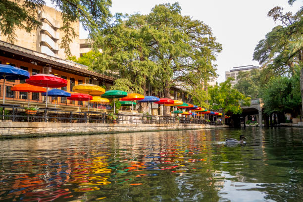 이른 가을에 아름다운 샌 안토니오 리버 워크 - san antonio riverwalk downtown district river 뉴스 사진 이미지