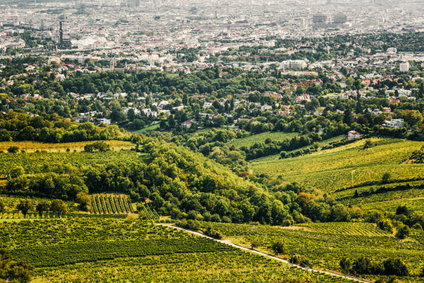 istock Countryside landscape in Austria 1179185214