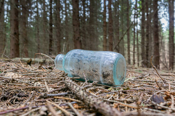 Garbage in the forest. Glass bottle thrown in the forest. The problem of ecology and nature pollution.