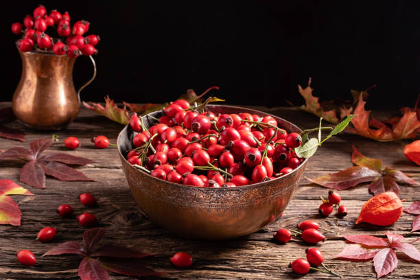 istock Still life with rose hips and autumn leaves 1179186509