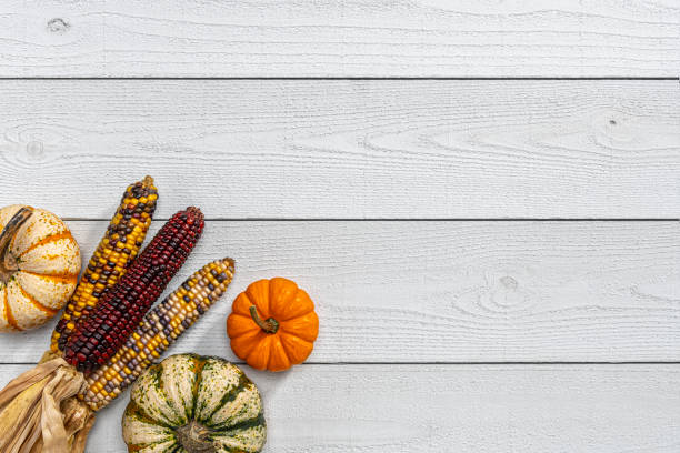 sfondo in testa di varie piccole zucche e mais indiano su un tavolo di legno dalle intemperie bianche - autumn corn indian corn decoration foto e immagini stock