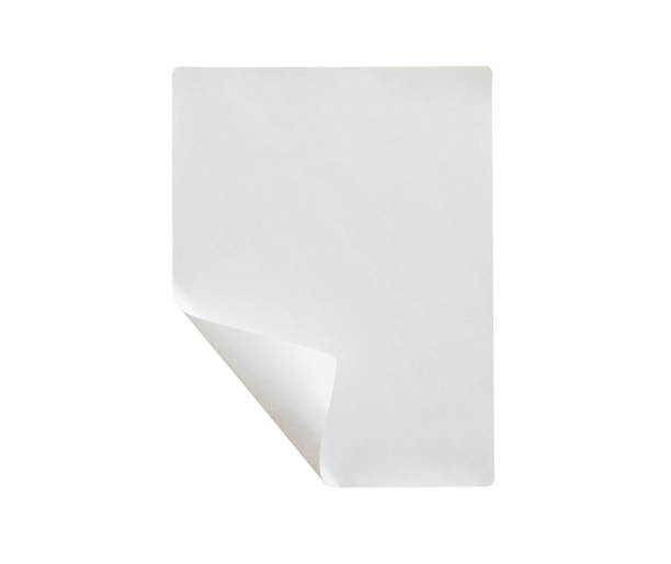 Paper sticker label isolated on white background