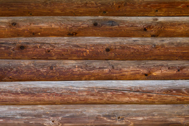 istock log surface shot on a Sunny autumn day 1179194633