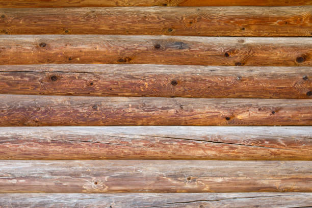 istock log surface shot on a Sunny autumn day 1179194645