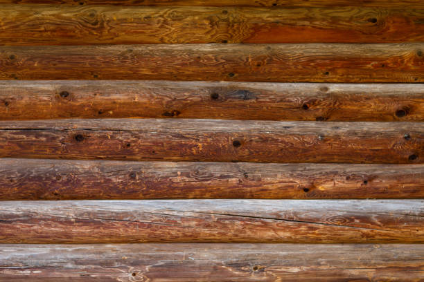 istock log surface shot on a Sunny autumn day 1179194657