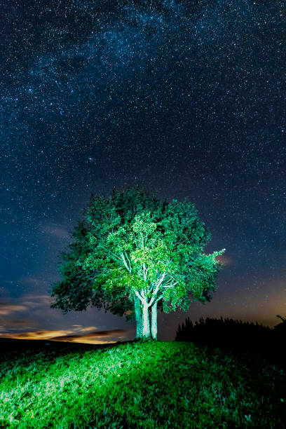 istock Milky Way - Middleton-in-Teesdale 1179195259