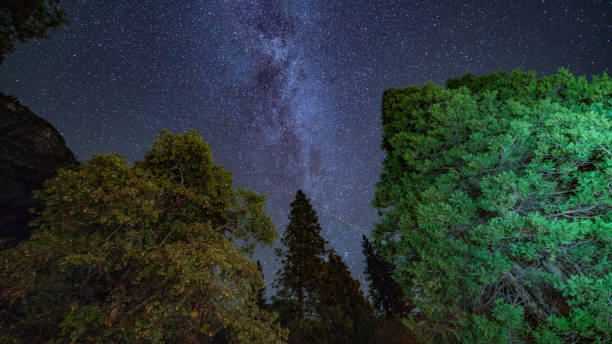 istock Milky Way Nights in Yosemite National Park 1179196453