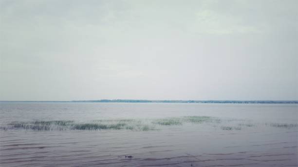 istock Shore of Lake Saint-Pierre (photo3) 1179196657