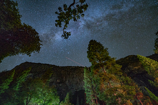 Under the Stars, looking up at the night sky in Yosemite