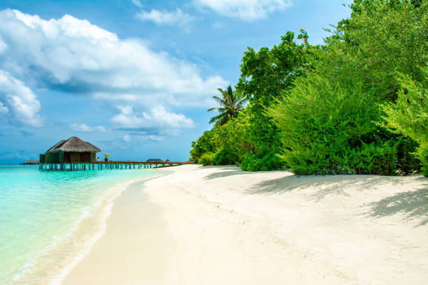 istock Overwater bungalow in the Indian Ocean 1179199814