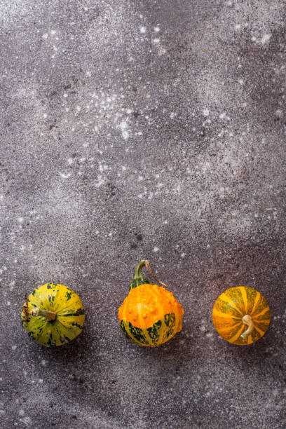 Small decorative organic pumpkins on grey