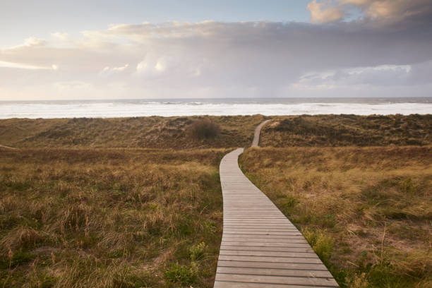 istock Wood path. Beach road. Sand. Dunes 1179200238