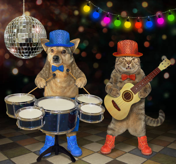 istock Cat and dog perform in a nightclub 1179202469