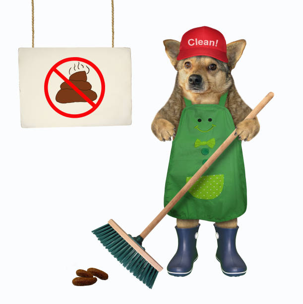 istock Dog cleaning up the poop 1179203405
