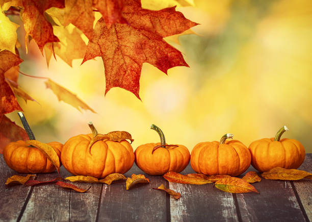 istock Mini pumpkins and autumn leaves with autumn bokeh 1179204597