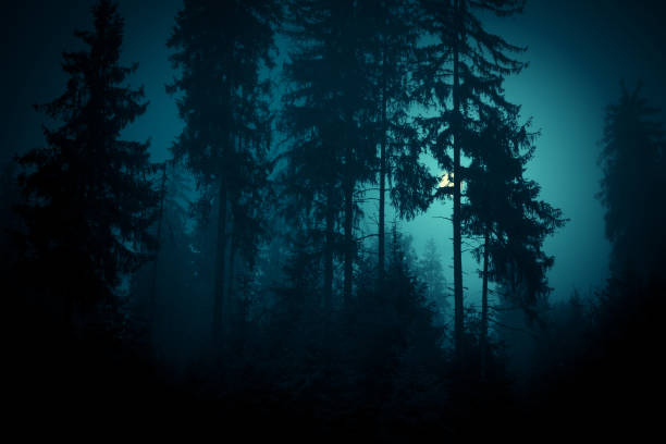 istock Full moon through the spruce trees in magic mystery night forest. Halloween backdrop. 1179205836