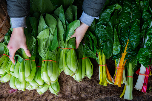 Bok Choy and Swiss Chard at a farm stall.