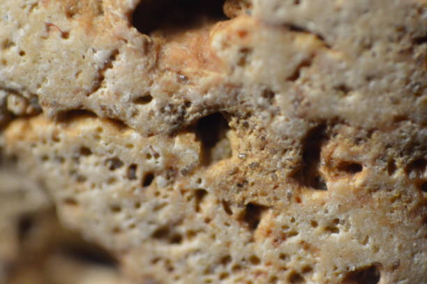 istock Natural texture of various colors close up 1179207039
