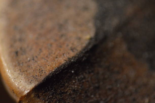 istock Natural texture of various colors close up 1179207199
