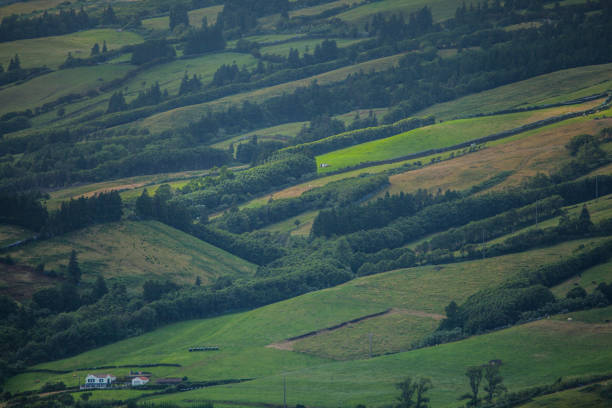 Green agricultural pattern of Faial Island, Azores, Portugal