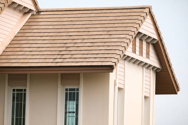 Brown house roofs and windows