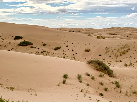 Landscape  of  Chihuahua desert in México