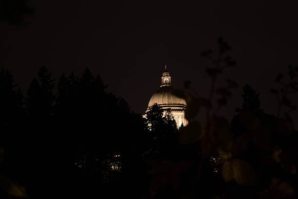 istock Washington State Capitol Dome Against Night Sky 1179211173