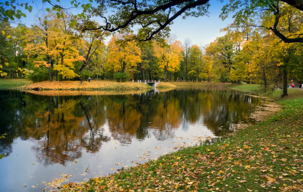 istock bridge over the river in the autumn park 1179212038