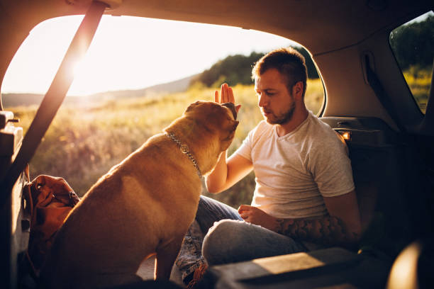istock My best friend 1179213349